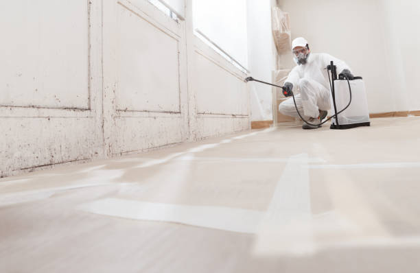 24/7 Emergency Commercial Mold Remediation experts in Jamestown, CO